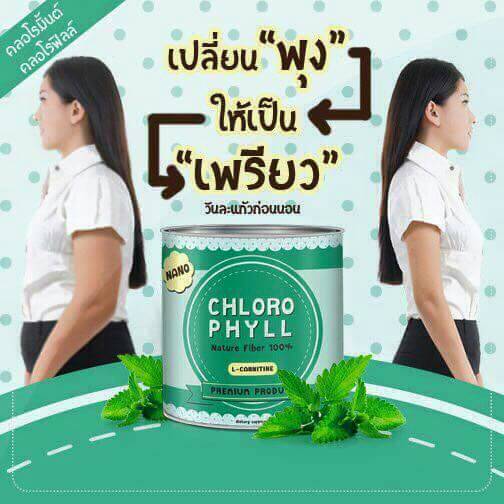 คลอโรมิ้นต์ Chloro Mint คลอโรฟิลล์ (Chloro Phyll Nature Fiber 100%)