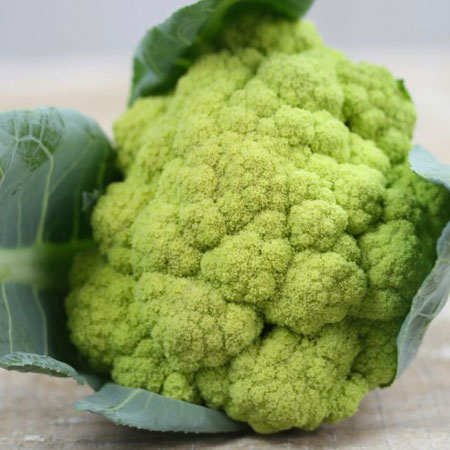 กะหล่ำดอกสีเขียว - Green Macerata Cauliflower