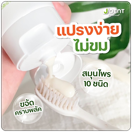 ยาสีฟันเจเด้นท์ JDent Herbal White Toothpaste