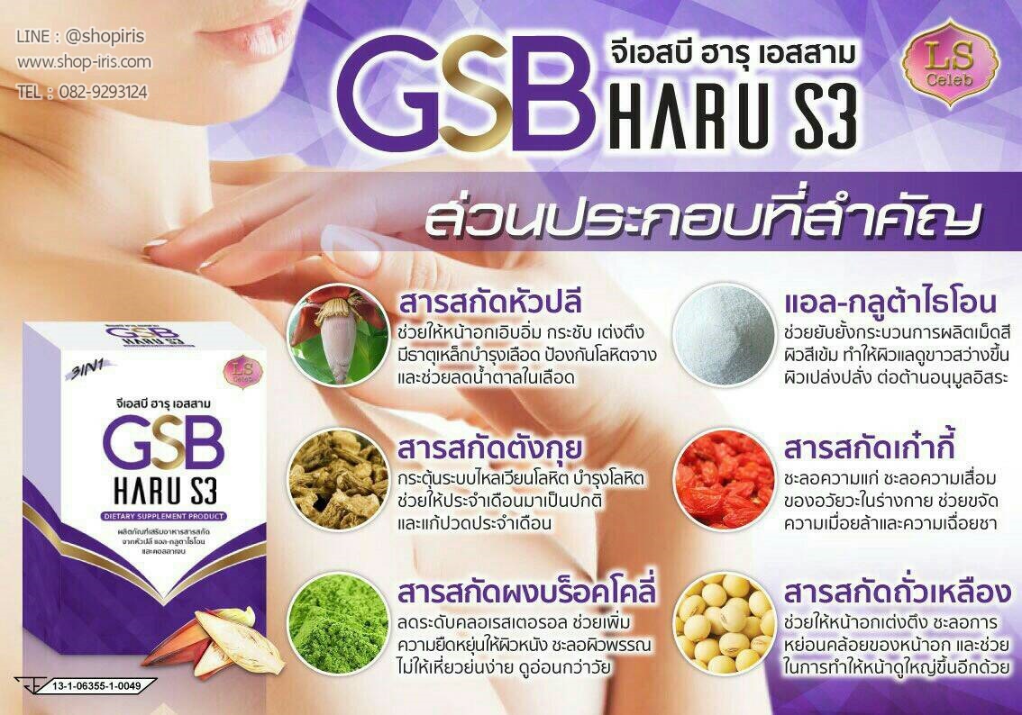 จีเอสบี ฮารุ เอสสาม GSB Haru S3