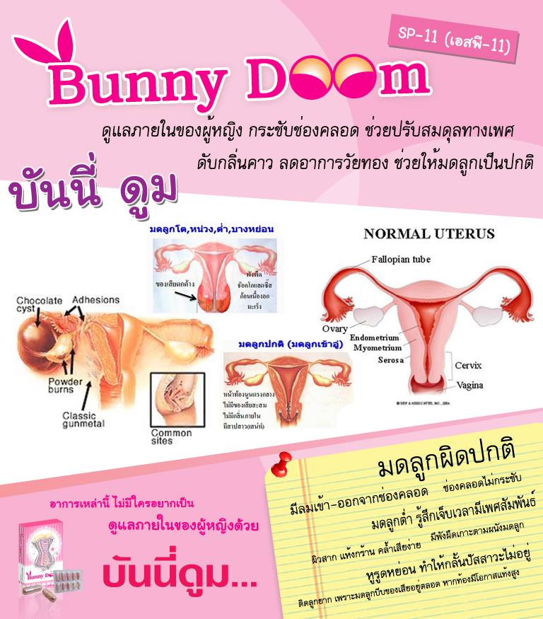 อกฟู ฟิต Bunny DOOM