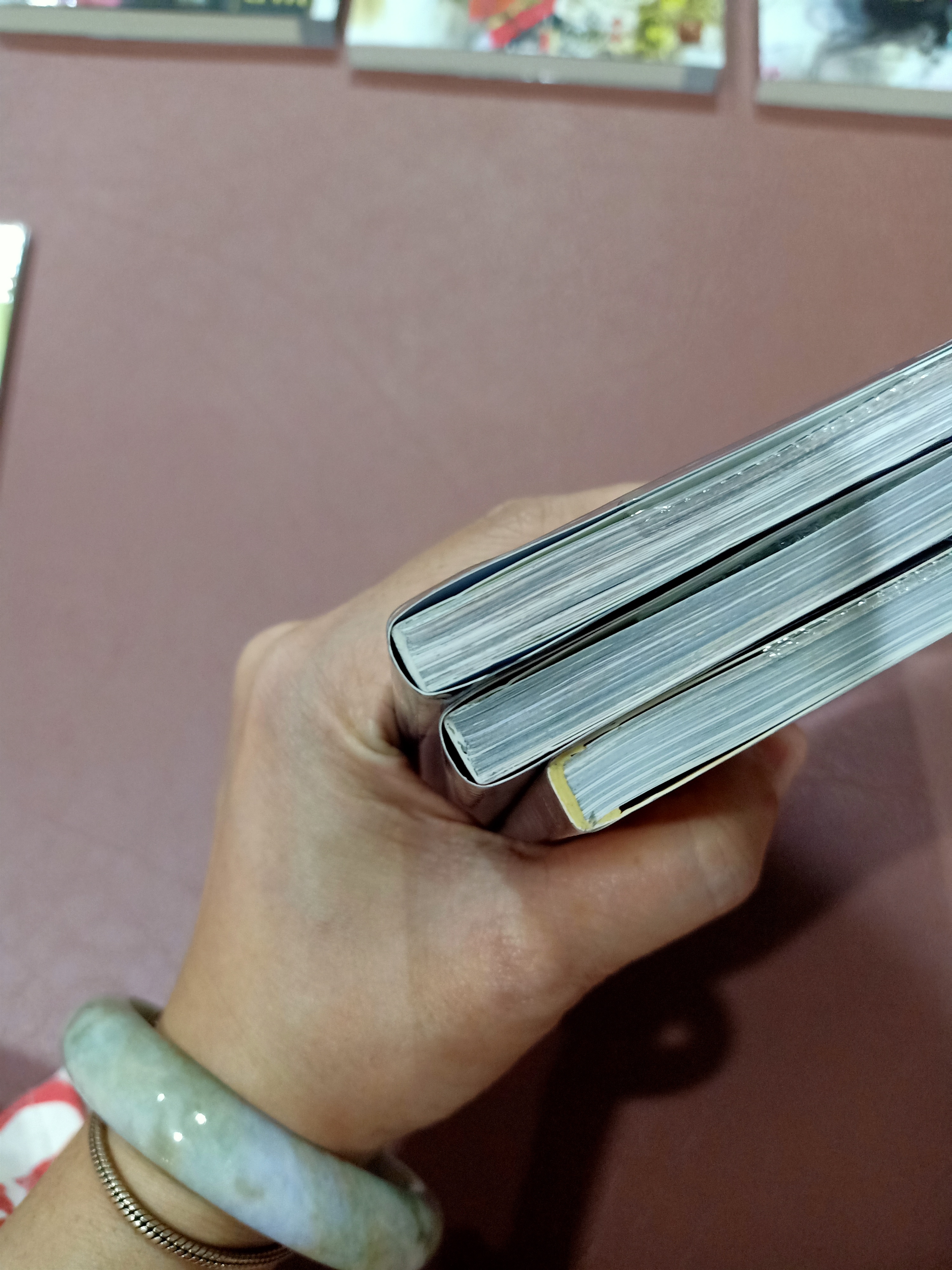 Boxset นิยายแปล รัชทายาท 5 เล่ม รอบจอง ฉบับรีปิ้น + การ์ตูน 3 เล่ม + เล่มพิเศษ + โดจิน