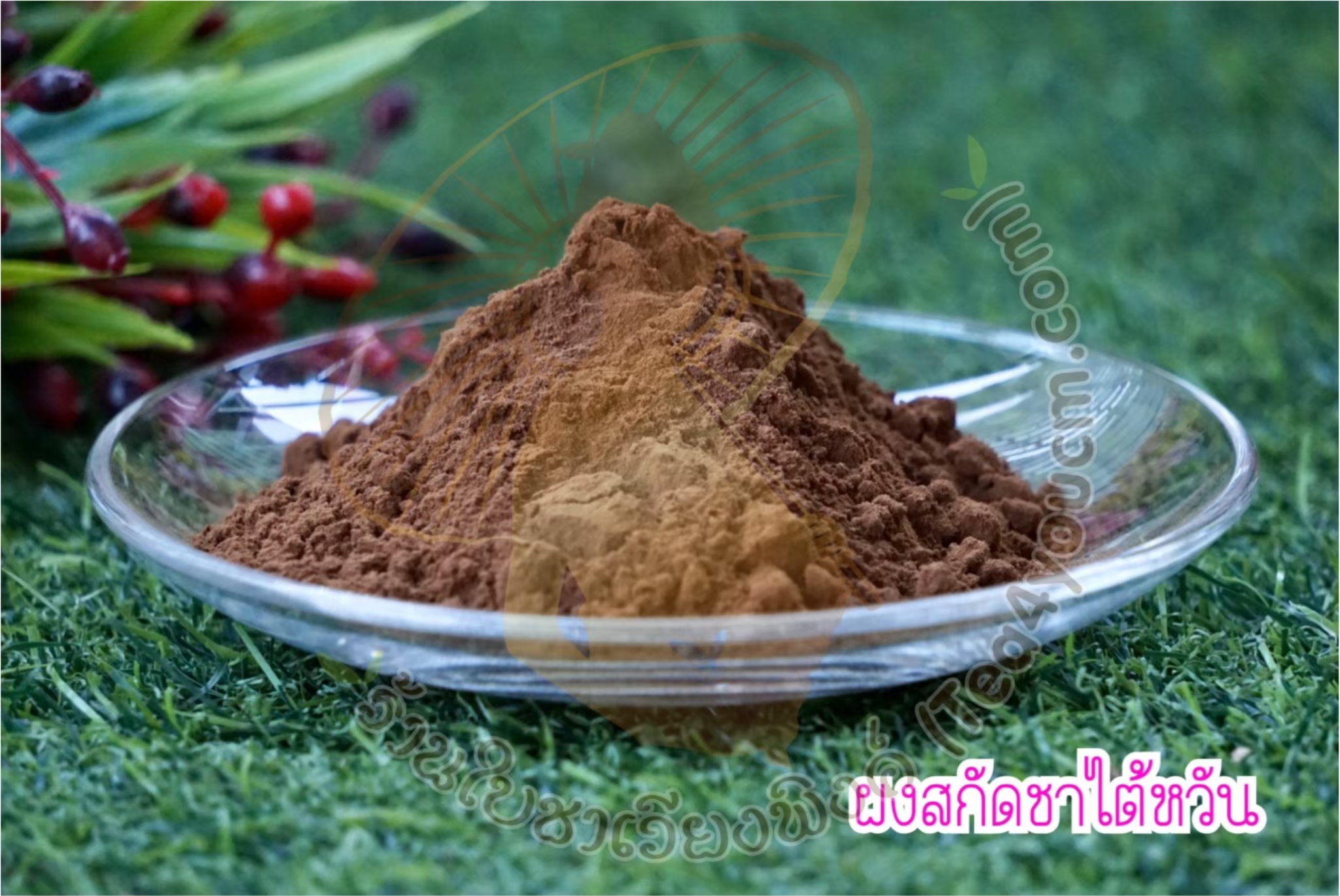 ผงชาไต้หวันสกัดแท้ ขนาดทดลอง 20 กรัม ไม่มีน้ำตาล ละลายน้ำได้ ไม่มีตะกอน ทำชานม เบเกอรี่ Taiwan Tea Extract Powder ชาไต้หวันแท้ ผงชานมไต้หวัน ชาทำเครื่องดื่ม ผงชาสกัด ชาชง ทำเค้ก คุกกี้ ไอศกรีม คุณภาพพรีเมียม ผงชาแท้ ชงชา ทำขนม ชาไต้หวันสกัด Tea Powder