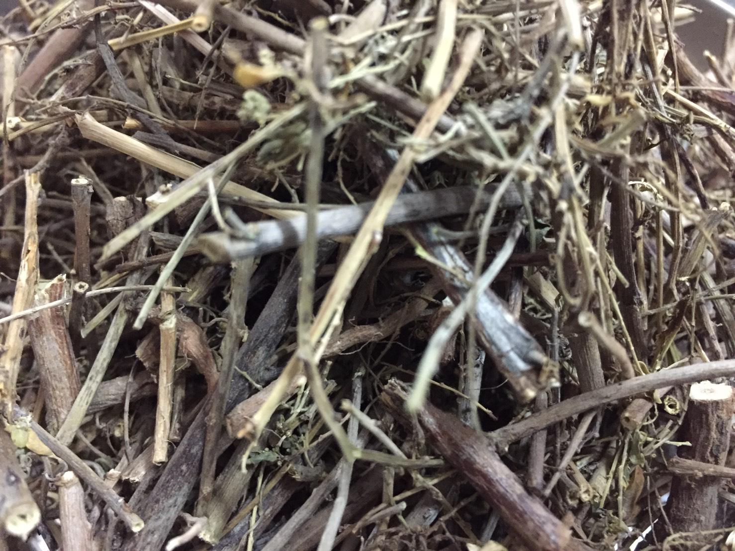 สมุนไพรใต้ใบ ขนาด 100 กรัม ลูกใต้ใบ ชาลูกใต้ใบ อบแห้ง Organic 100% หญ้าใต้ใบ ลูกใต้ใบตากแห้ง Phyllanthus amarus Schumach. & Thonn สมุนไพรชั้นเลิศ เหมาะสำหรับผู้ที่ต้องการดูแลรักษาตับ