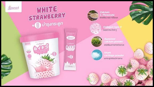 กิมมิค คอลลาเจน สูตรสมูทตี้และโยเกิร์ต Gimmick Collagen แพคเกจใหม่