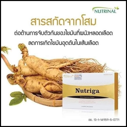นูทริก้า Nutriga Nutrinal อาหารเสริมฟื้นฟูเซลล์