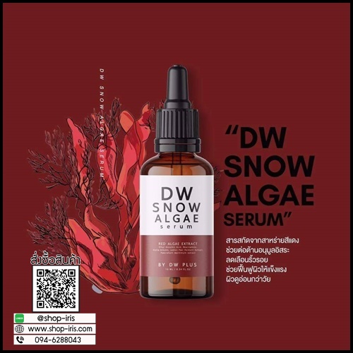 DW Snow Algae Serum เซรั่มสาหร่ายหิมะ
