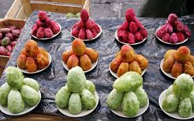 พริคลี่แพร์คละสี - Mixed Prickly Pear