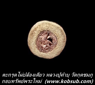ตะกรุดไผ่ปล้องเดียว หลวงปู่คำบุ วัดกุดชมภู