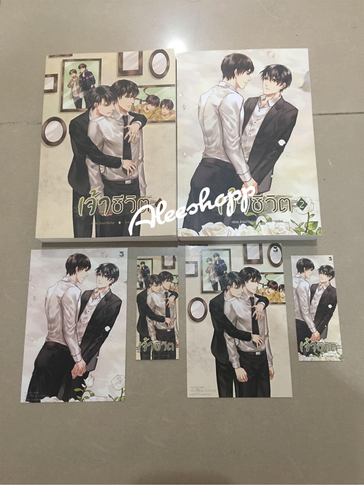 นิยายแต่ง เจ้าชีวิต 2 เล่มจบ
