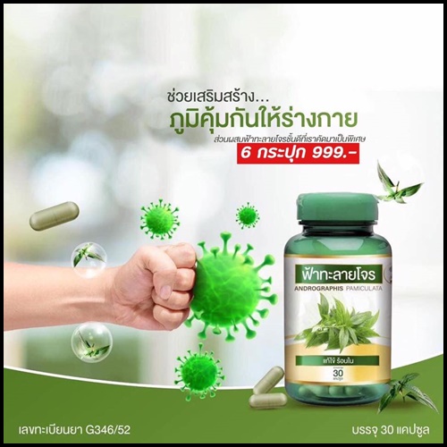 ยาสมุนไพรแคปซูล ฟ้าทะลายโจร ย่าจันทร์ (ซื้อ 1 แถม 1 + ส่งฟรี)