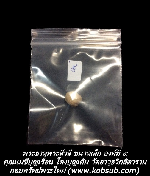พระธาตุพระสีวลี ขนาดเล็ก องค์ที่ ๕ คุณแม่ชีบุญเรือน โตงบุญเติม วัดอาวุธวิกสิตาราม