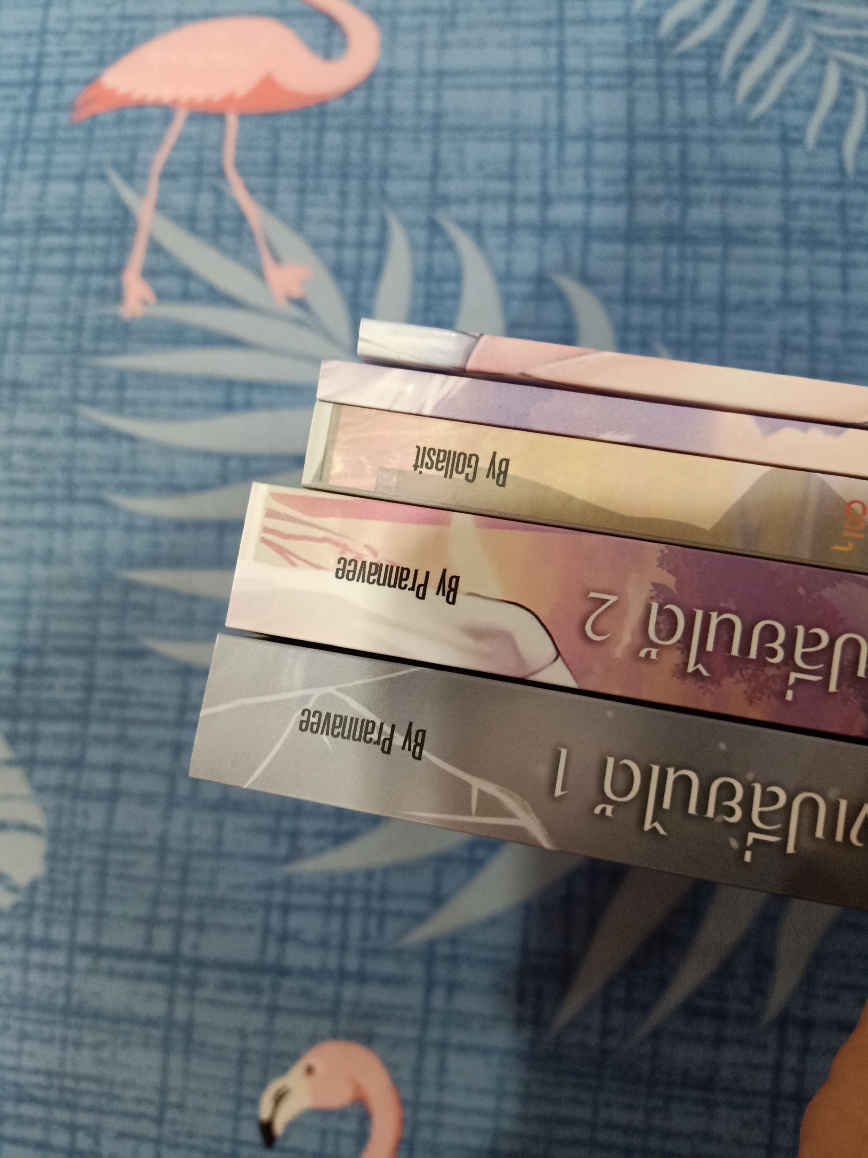 Boxset นิยายแต่ง เพราะรักจึงเปลี่ยนได้ + เรื่องของผมกับสิทธิ รอบจอง