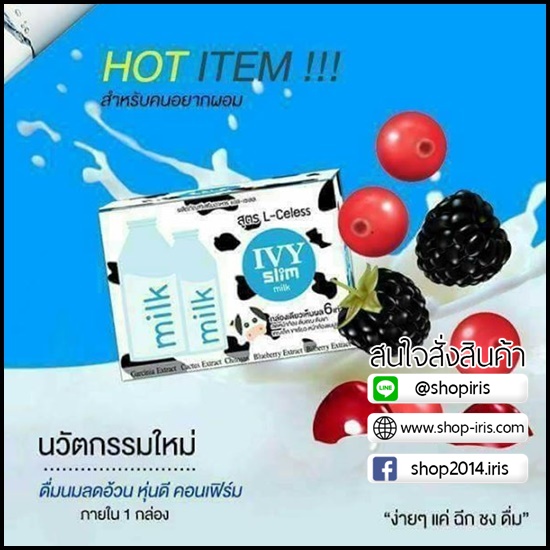 ไอวี่ สลิม มิลค์ IVY Slim Milk
