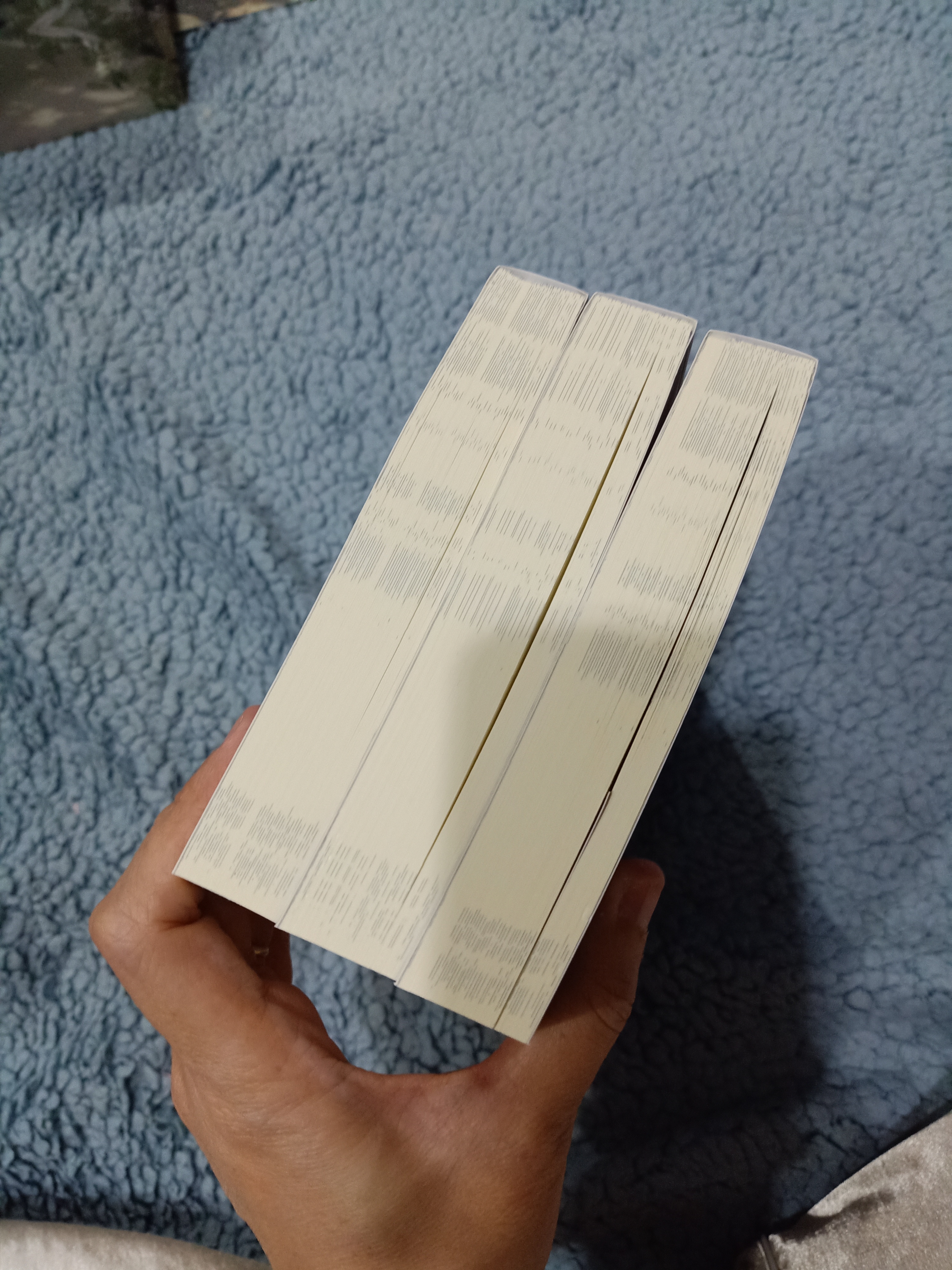 Boxset นิยายแปล รักนิรันดร์ของนายท่านแมว +โปสเตอร์ รอบจอง