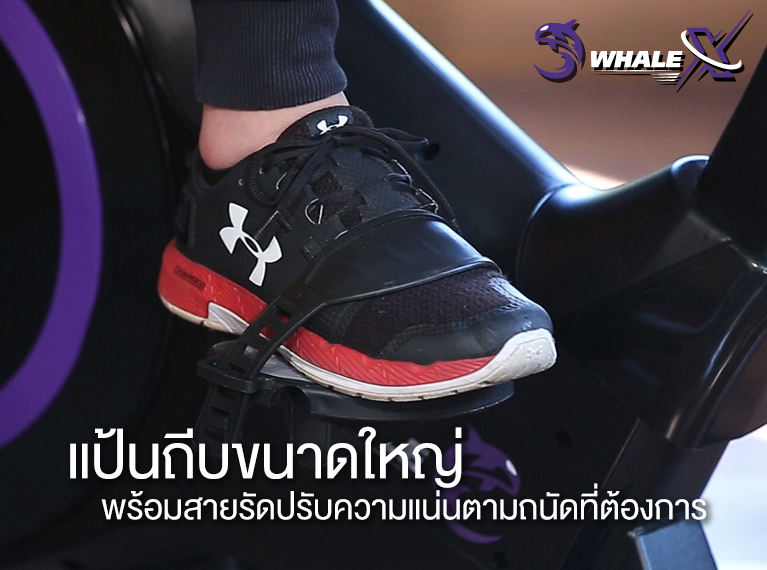 จักรยานนั่งปั่นVTech รุ่น WHALE-XU
