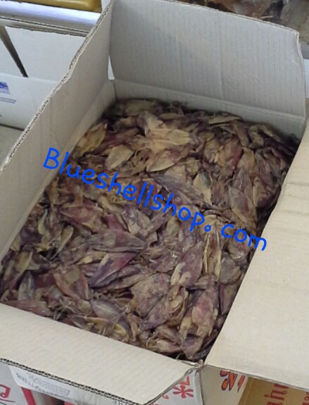 หมึกแกะตา