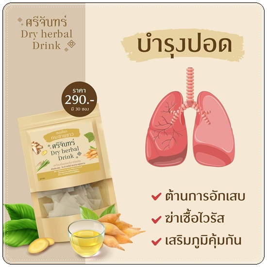 สมุนไพรกระชายขาว ศรีจันทร์ Dry Herbal Drink