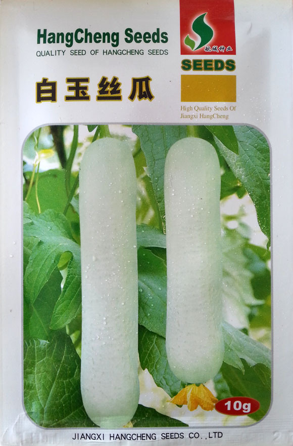 บวบหอมสีขาว - Chinese White Jade Luffa