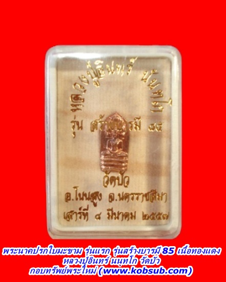 พระนาคปรกใบมะขาม รุ่นแรก รุ่นสร้างบารมี 85 เนื้อทองแดง หลวงปู่อินทร์ วัดบัว