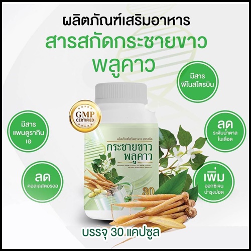 กระชายขาวผสมพลูคาว
