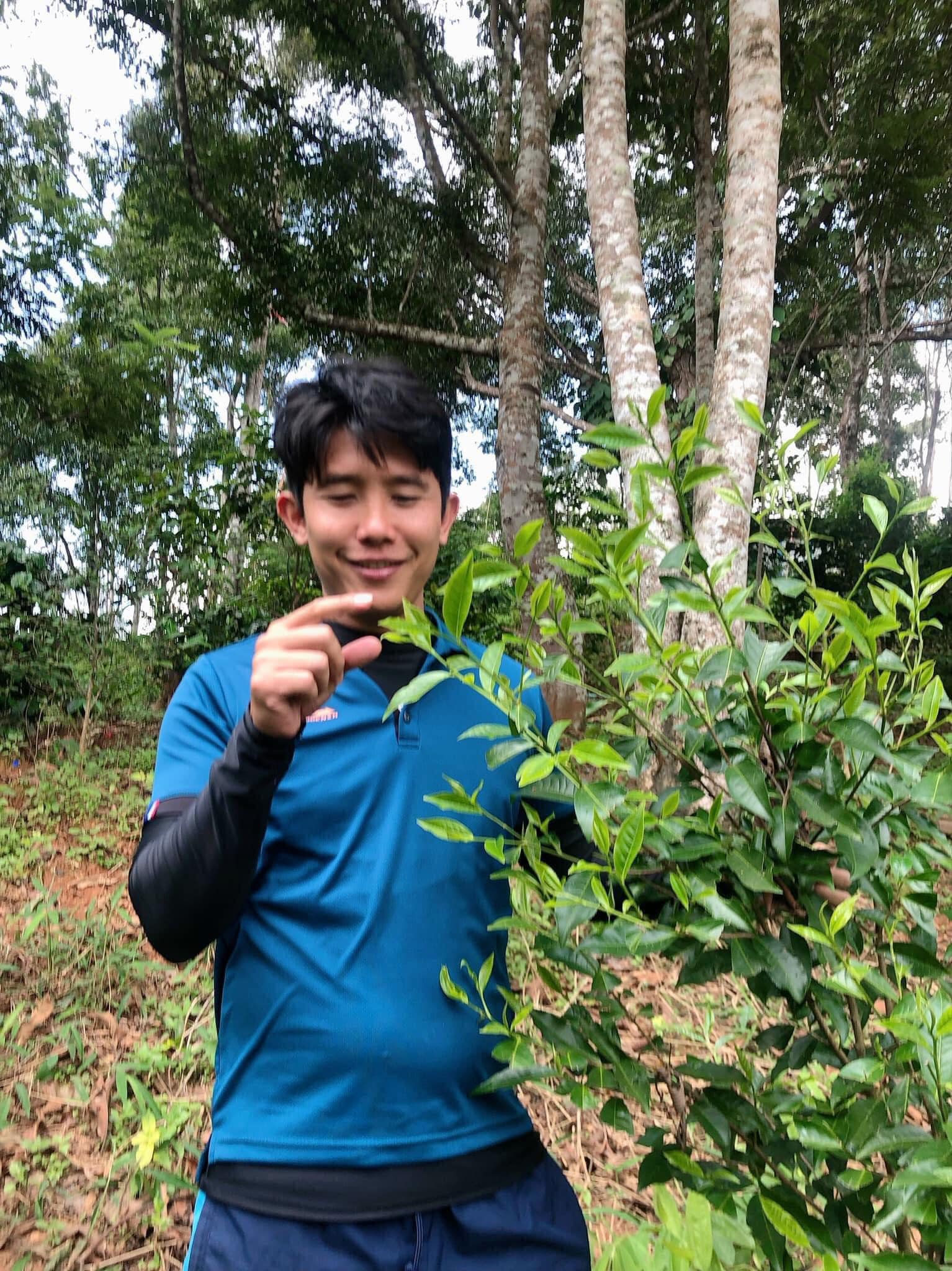 ชาอัสสัม Handmade (แฮนด์เมด) ขนาด 500 กรัม ชาดอยลาง ชาป่าเติบโตตามธรรมชาติ สินค้ามีจำนวนจำกัด !! ชาดำอัสสัม (ใบชาอบแห้ง) จากดอยลาง ASSAM TEA 500 g. ชาออแกร์นิค Doilang Tea กลิ่นหอม รสชาติดี ชาจากธรรมชาติ ของดีในราคามิตรภาพ ใบชาเส้น