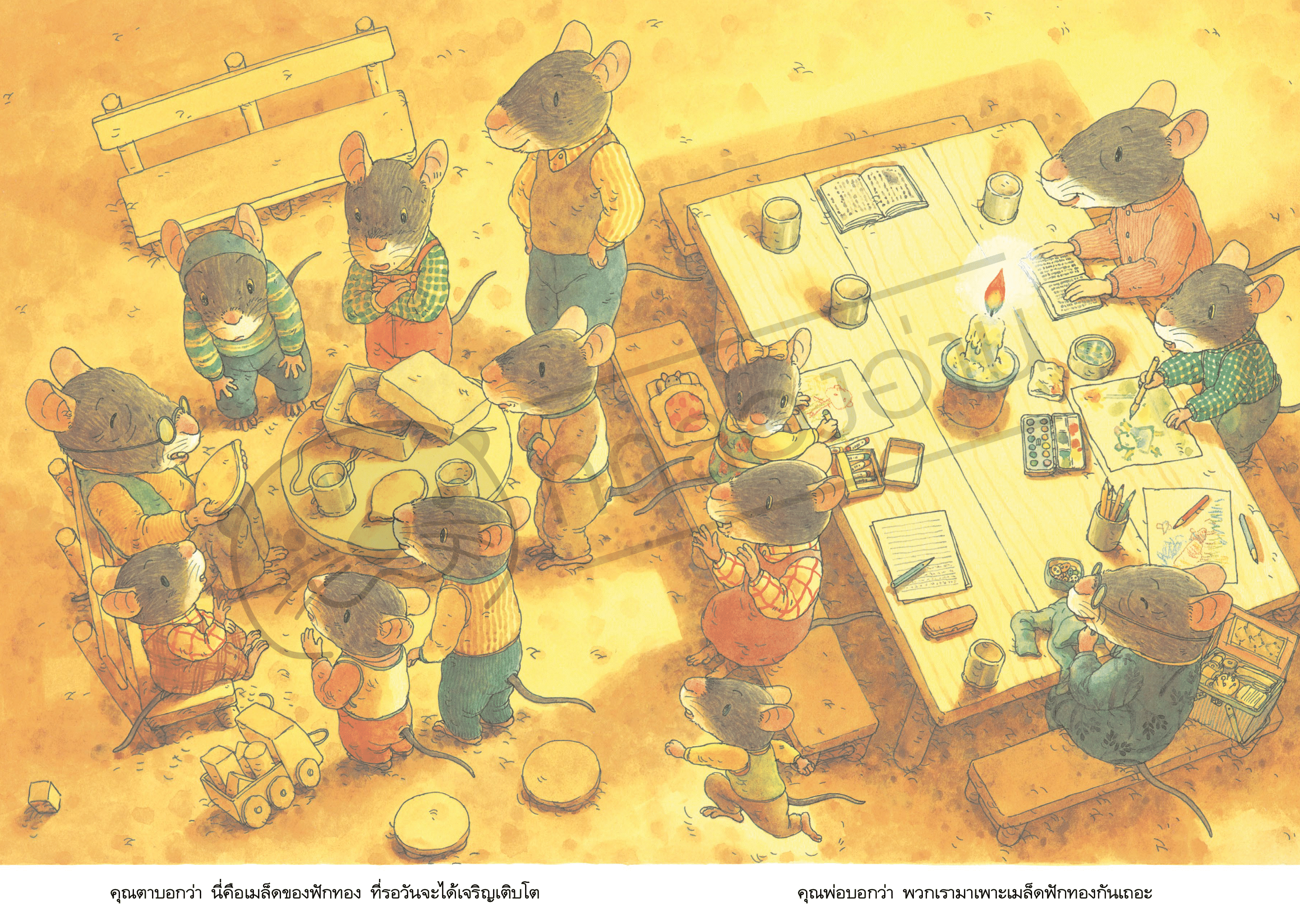 ต้นฟักทองของหนู 14 ตัว (ปกแข็ง) 3 ปีขึ้นไป
