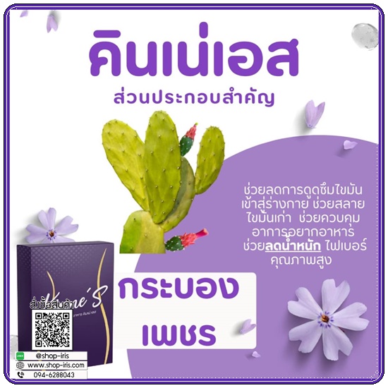คินเน่เอส Kinne'S