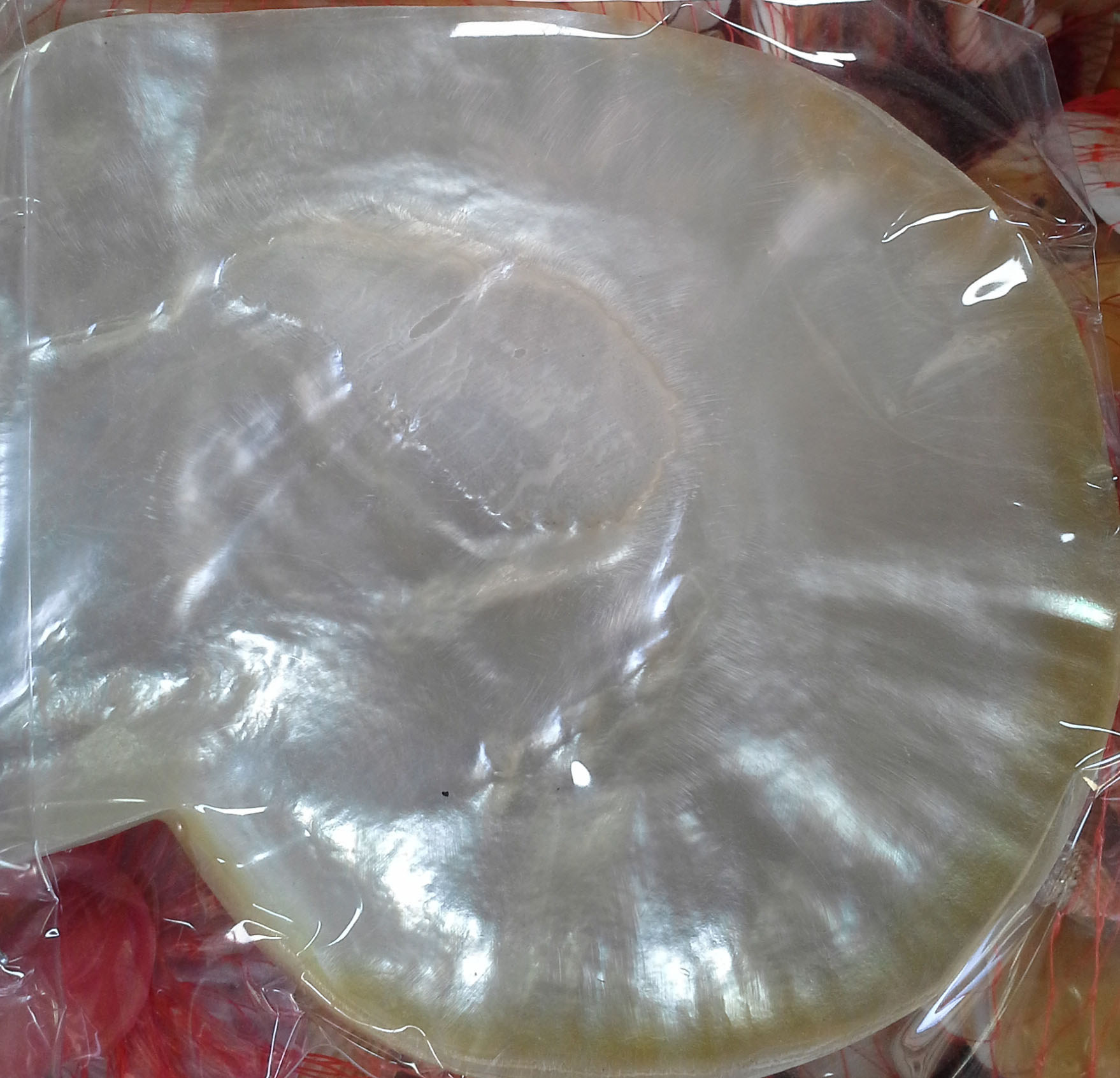 เปลือกหอยมุกขัดเงาเกรดA