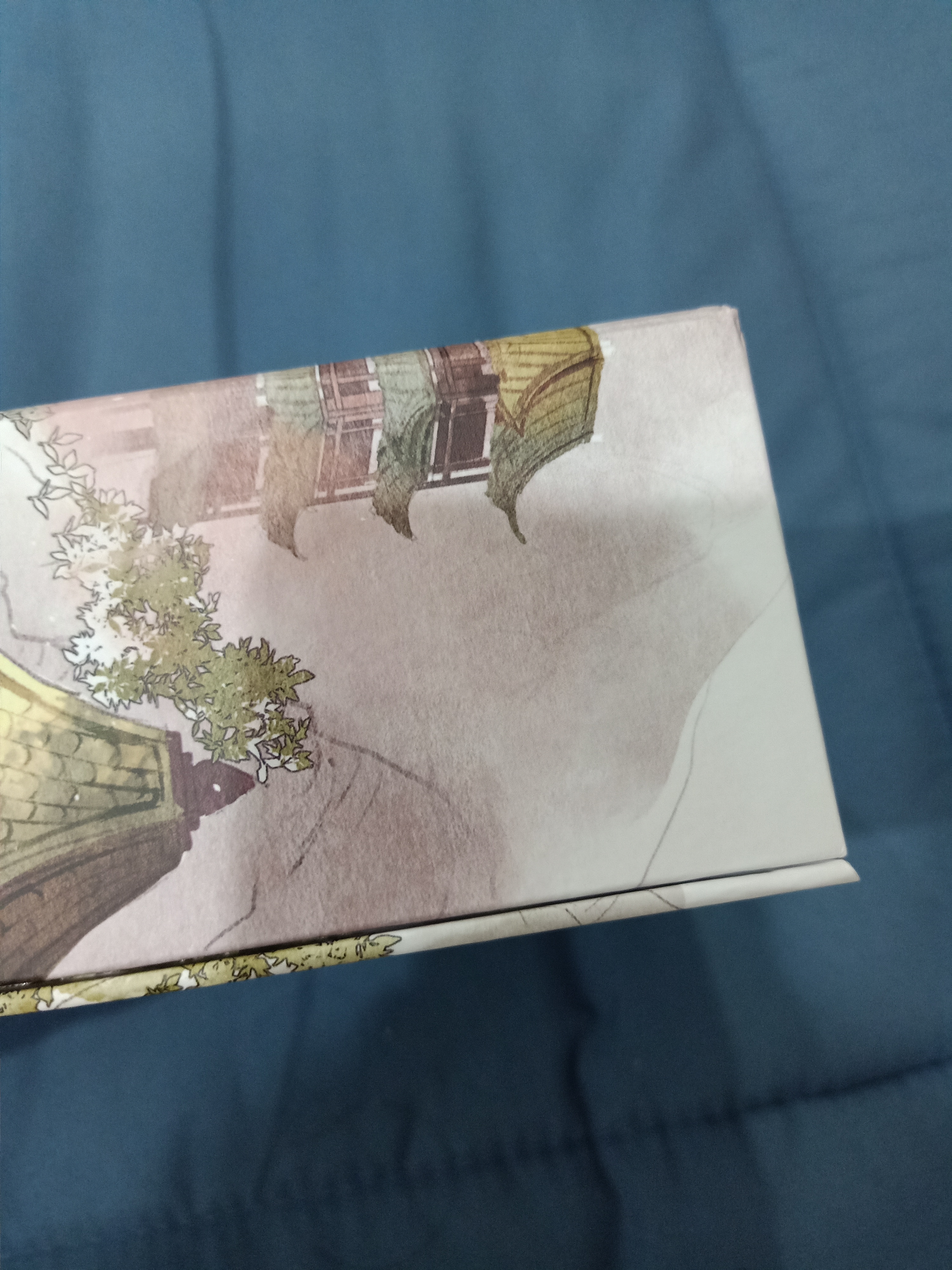 Boxset นิยายแปล ตัวละครเอกพยายามจะข้าทุกวัน รอบจอง