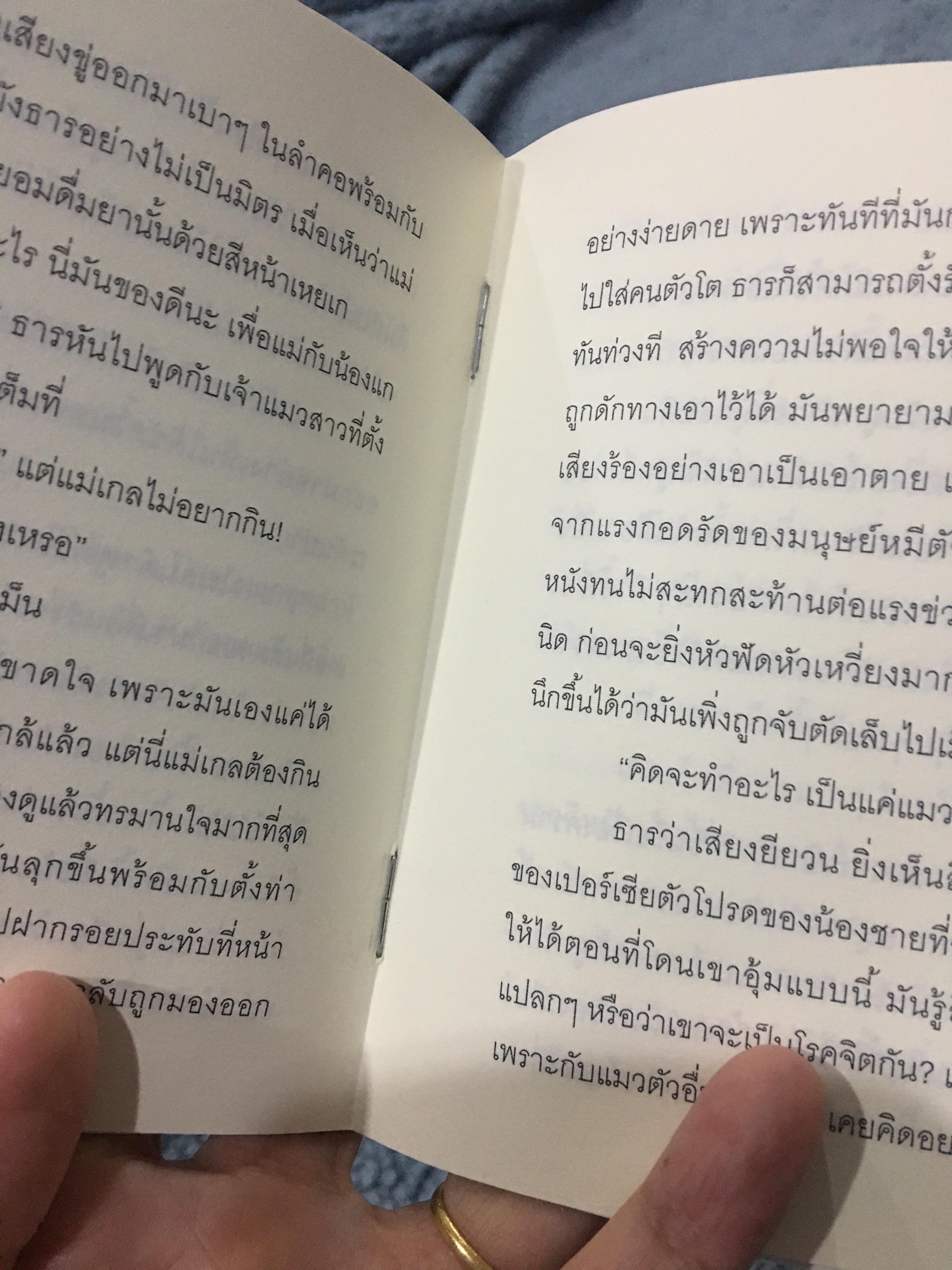 นิยายแต่ง ฝนกลางฤดูหนาว พิมพ์แรก รอบจอง