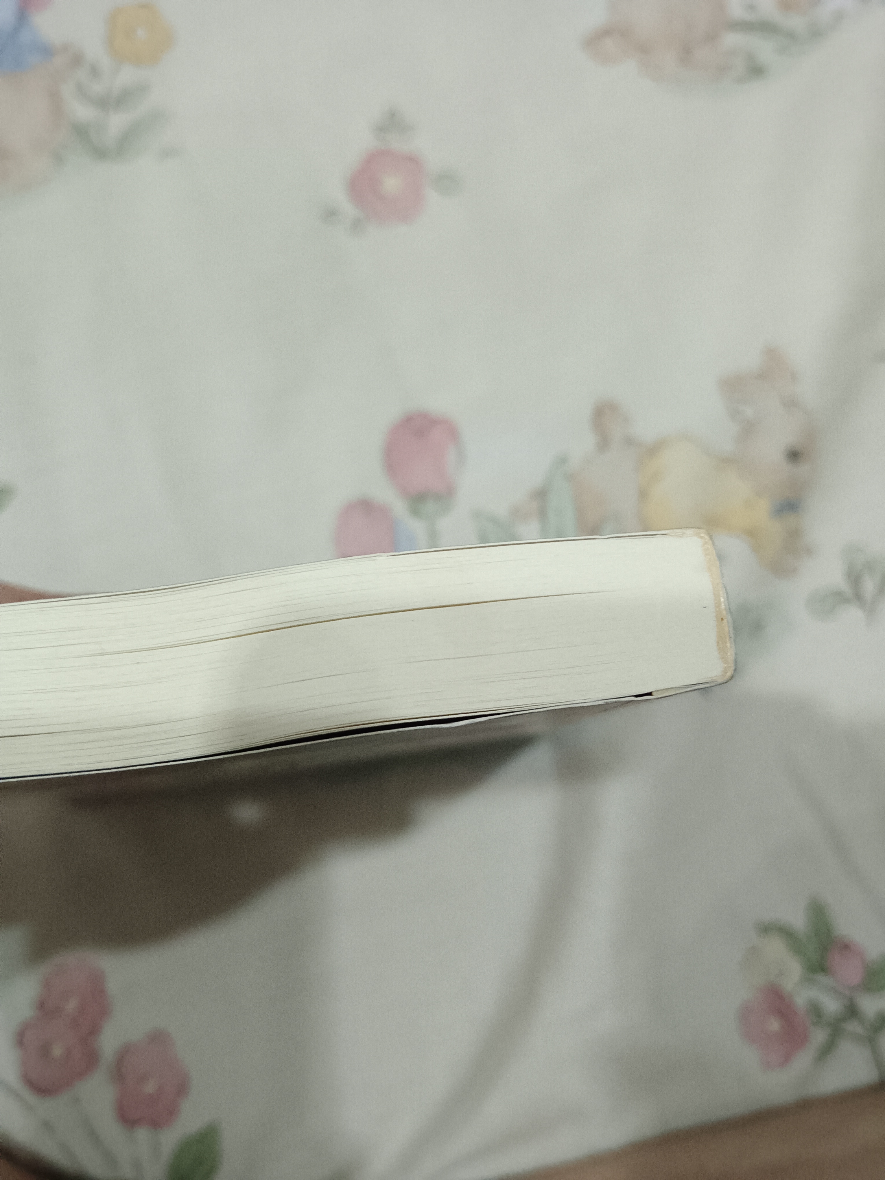 นิยายแปล ลงเอยด้วยรัก