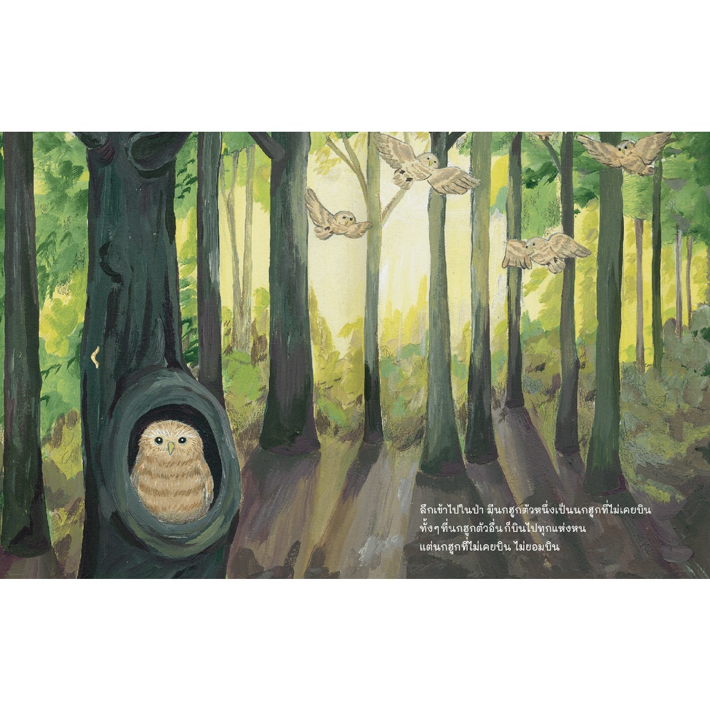 นกฮูกที่ไม่เคยบิน (ปกแข็ง) 3-5 ปี