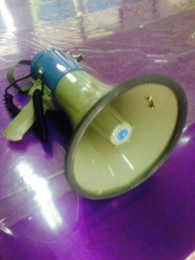 megaphone 80 W