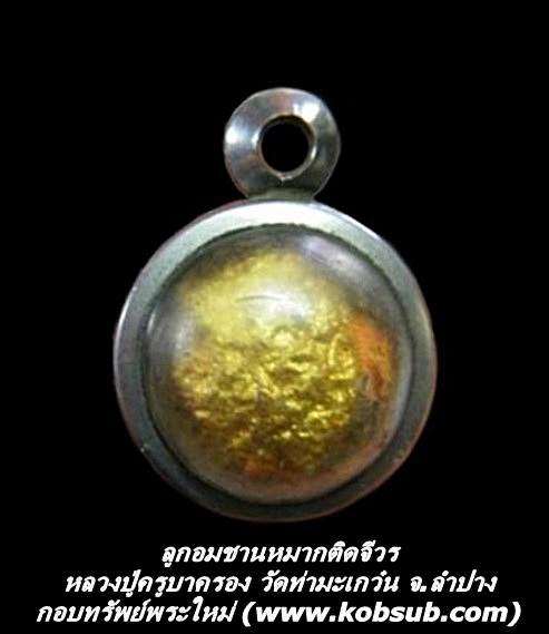 ลูกอมชานหมากติดจีวร ครูบาครอง วัดท่ามะเกว๋น