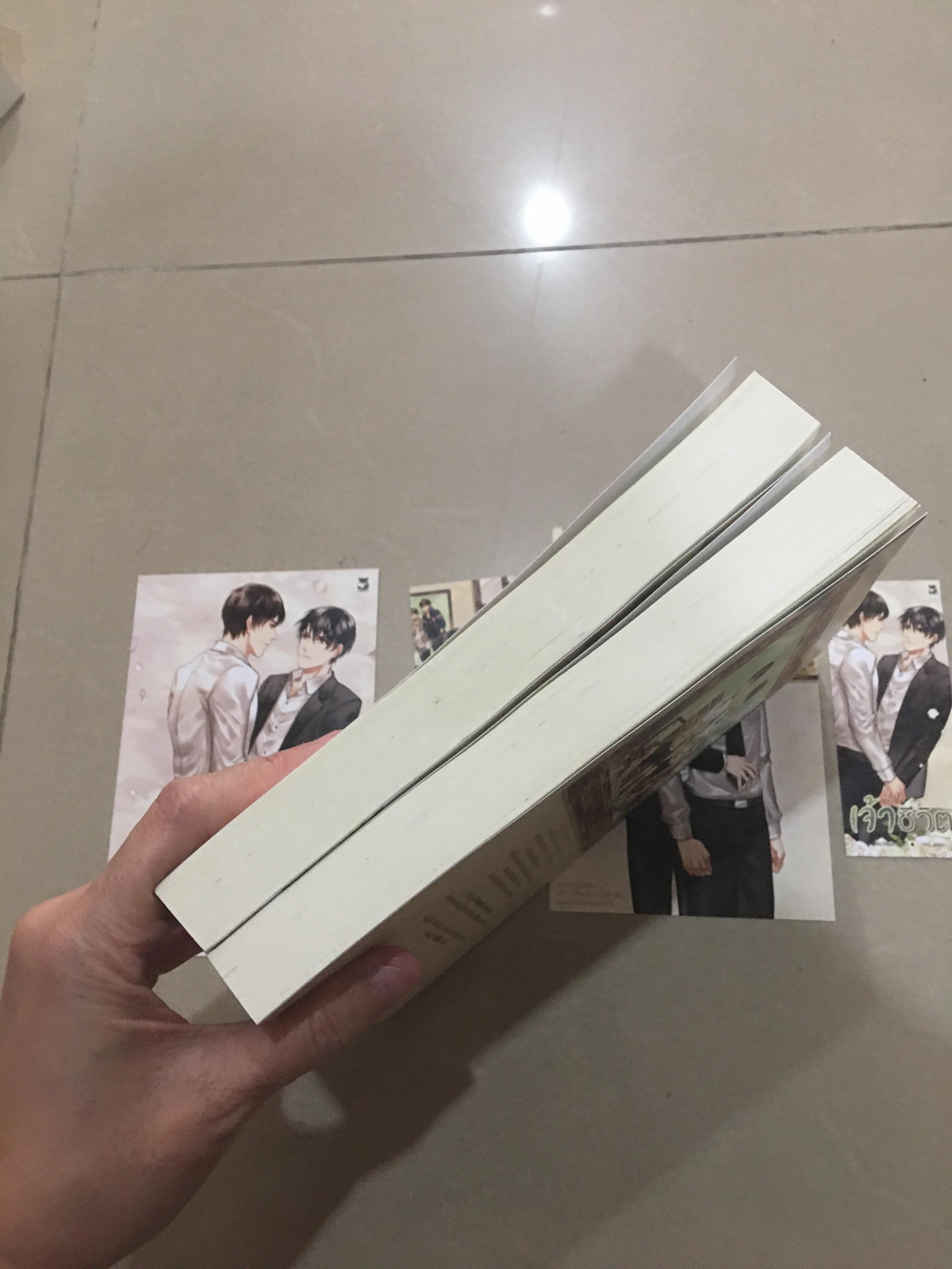 นิยายแต่ง เจ้าชีวิต 2 เล่มจบ