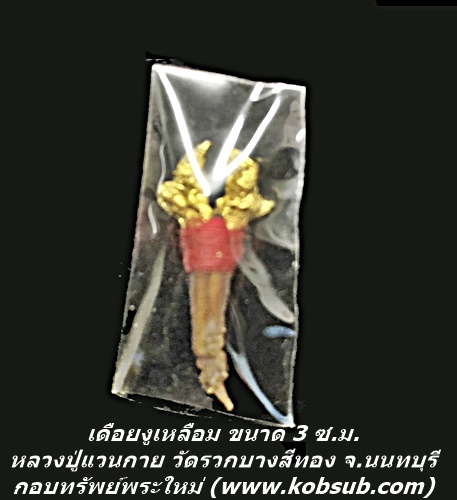 เดือยงูเหลือม ขนาด 3 ซ.ม. หลวงพ่อแวนกาย พันธสาโร
