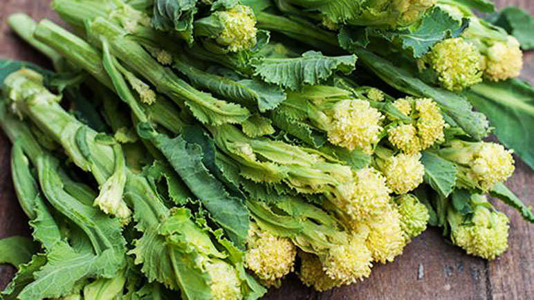 บรอกโคลี่ดอกสีขาว - White Sprouting Broccoli