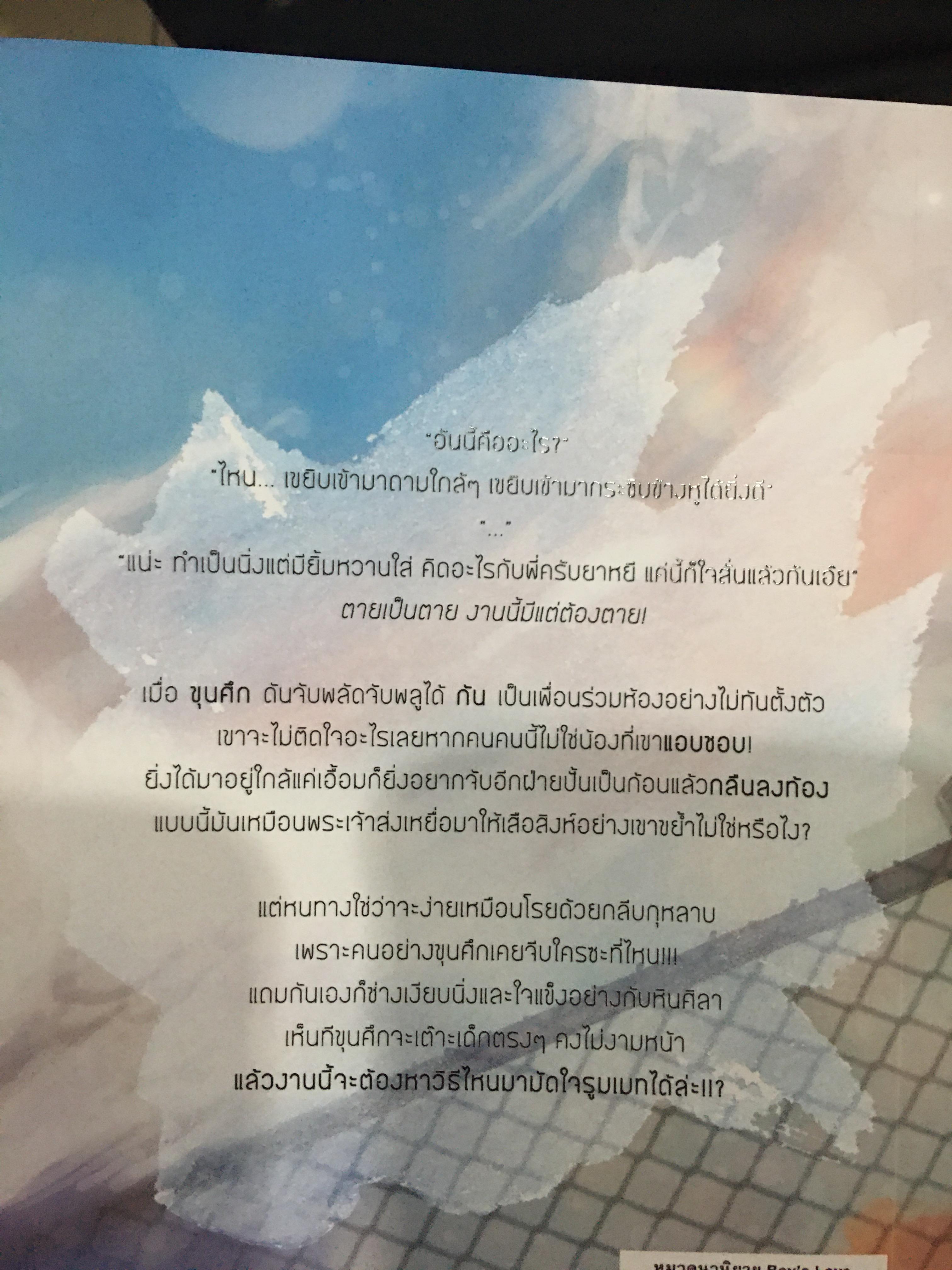 นิยายแต่ง จีบจริงขอบอก มือสอง