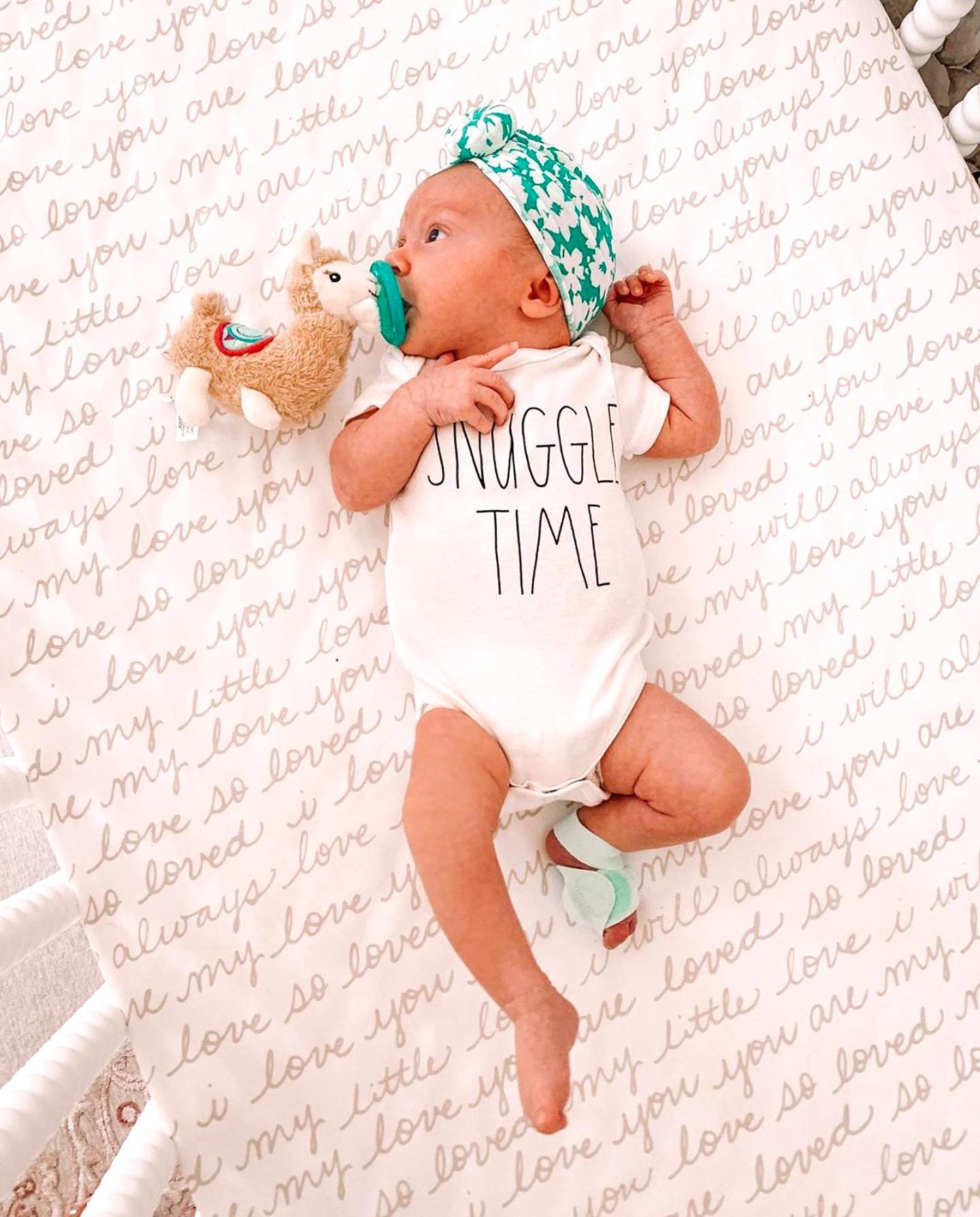 Mary Meyer WubbaNub Infant Pacifier ~ Lily Llama