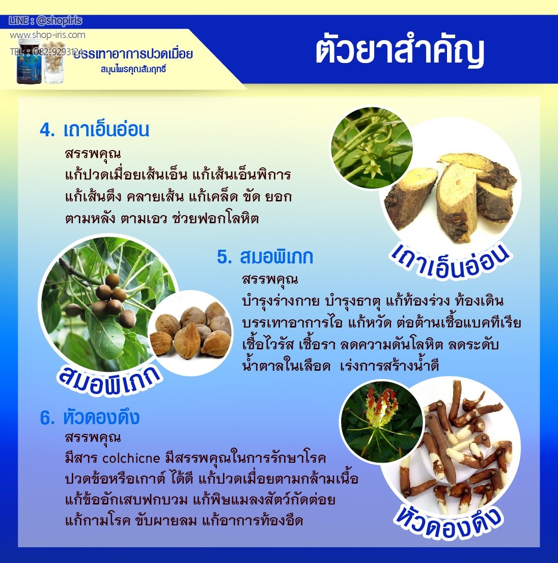 ยาบรรเทาอาการปวดเมื่อย สมุนไพรคุณสัมฤทธิ์
