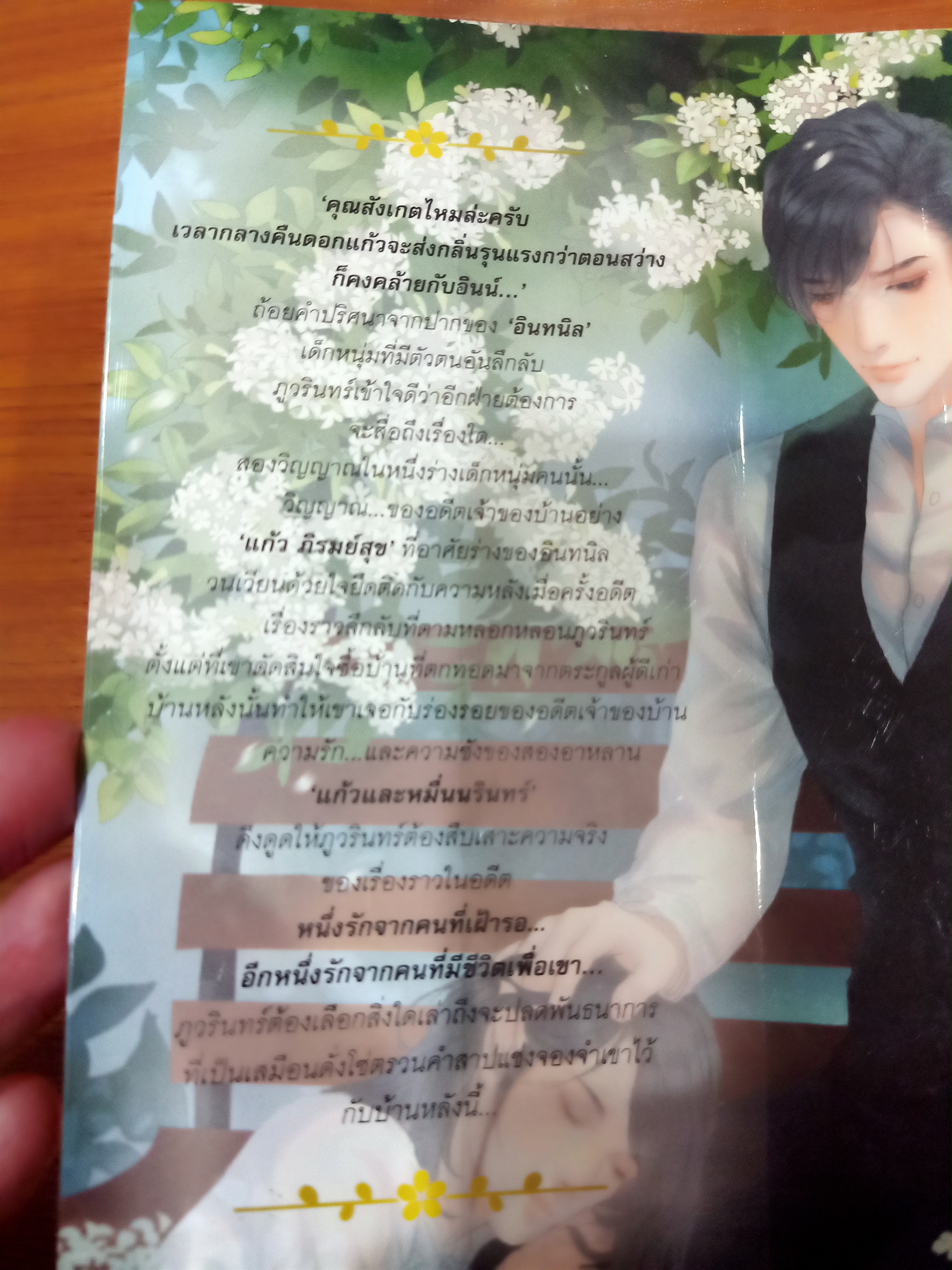 นิยายแต่ง สาปดอกแก้ว รอบจอง