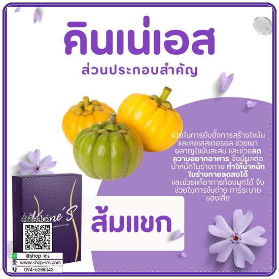 คินเน่เอส Kinne'S