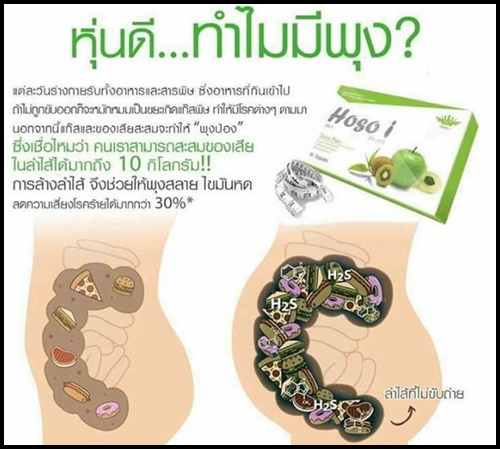 โฮโซ อิ ดีท็อกซ์ HOSO i Detox Plus