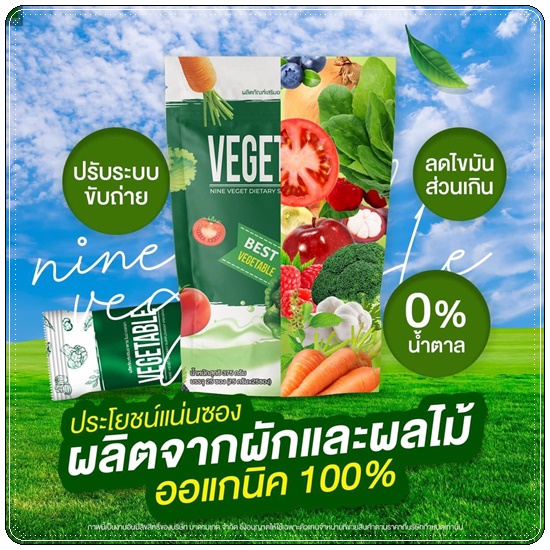 น้ำผักชงผอม Nine Vegetable น้ำผักไนน์เวทเจท ดีท็อกซ์