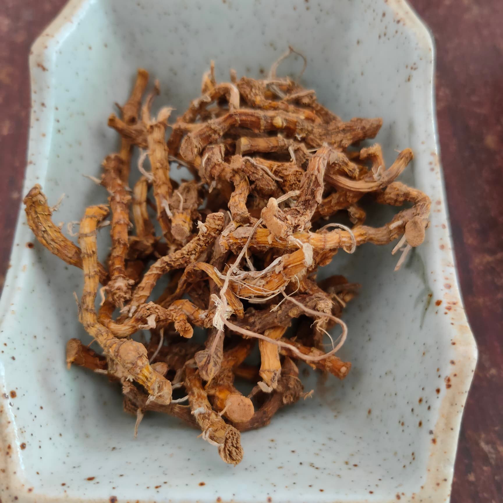 รากปู่เฒ่าทิ้งไม้เท้า **สินค้าหายาก** ปู่เฒ่าลืมไม้เท้า (บัวดอย) Aspidistra elatior น้ำหนัก 1 กิโลกรัม เป็นพืชสมุนไพรที่ค้นพบปี 2543 บนที่สูงตั้งแต่ ระดับน้ำทะเล 1,400-1,800 เมตร สรรพคุณแก้ปวดหลัง ปวดเอว ปวดตามส่วนต่างๆของร่างกายและใช้ในการบำรุงร่างกาย