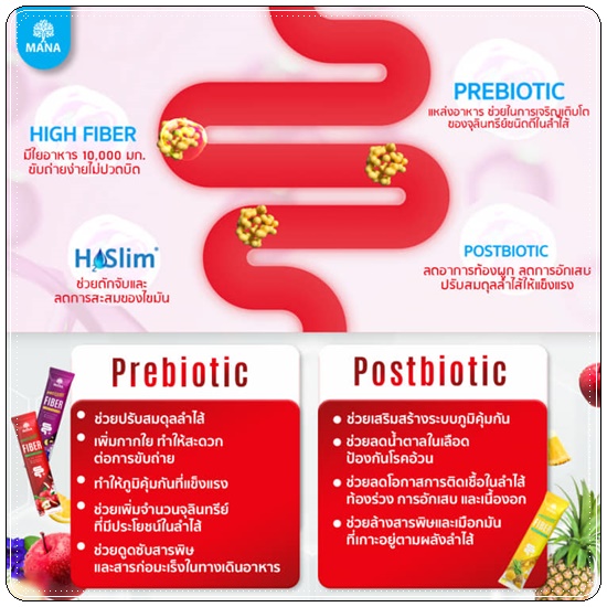 มานาโปรลีนไฟเบอร์ Mana Prolean Fiber