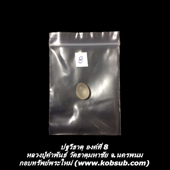 ปฐวีธาตุ องค์ที่ 8 หลวงปู่คำพันธ์ วัดธาตุมหาชัย จ.นครพนม