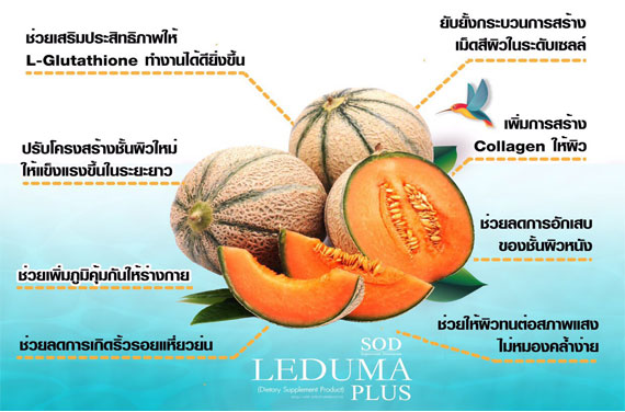 เอสโอดี เลอดูม่า พลัส (Leduma Plus แบบ SOD)
