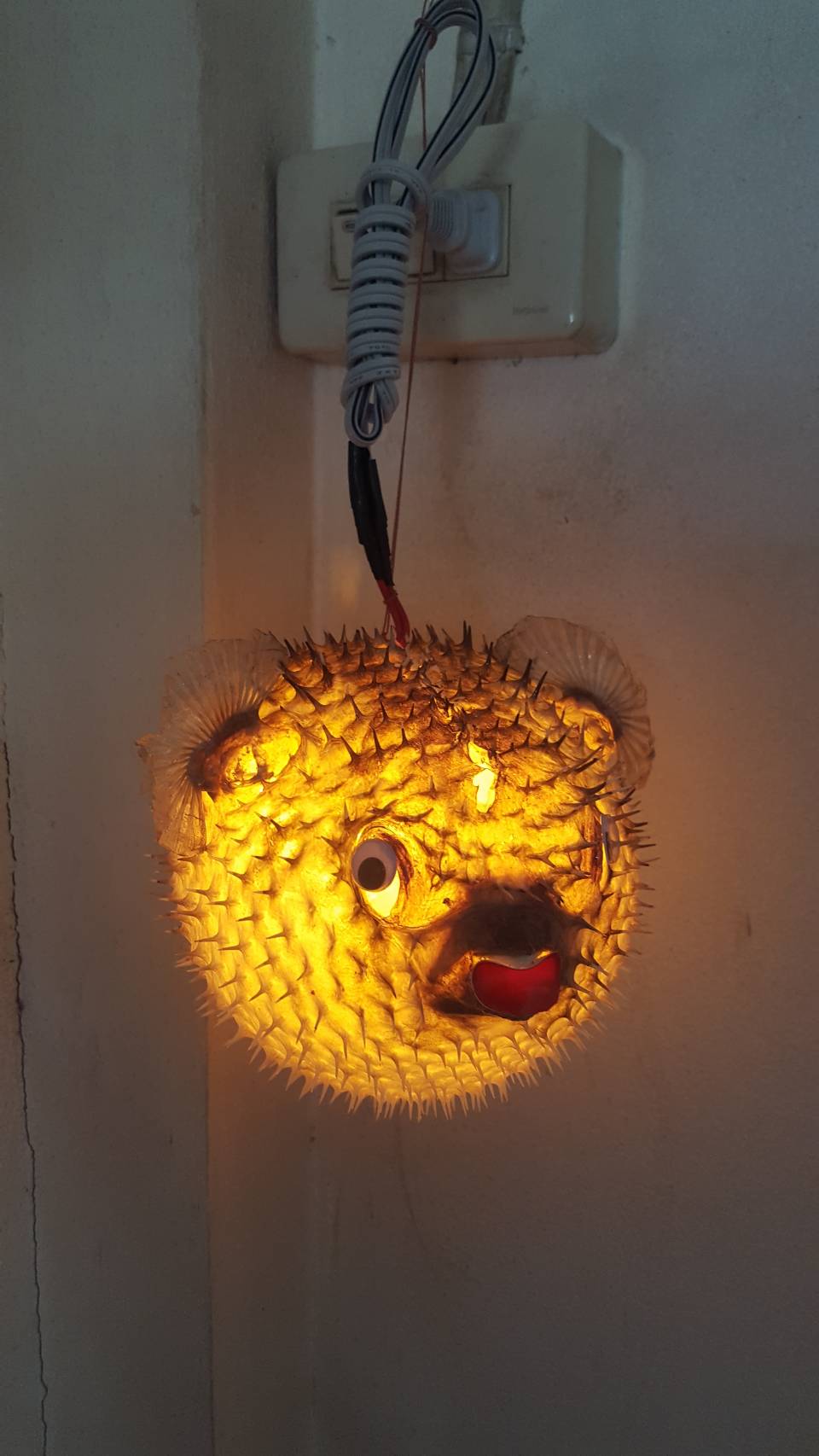 โมบายปลาปักเป้ามีไฟไซต์ใหญ่